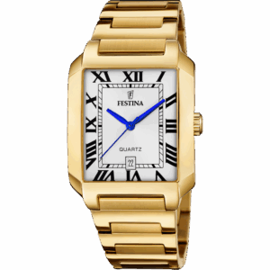 Festina Men's Gold Watch F20678/1