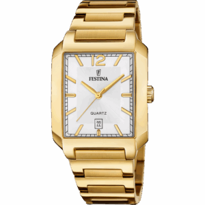 Festina Men's Gold Watch F20678/2