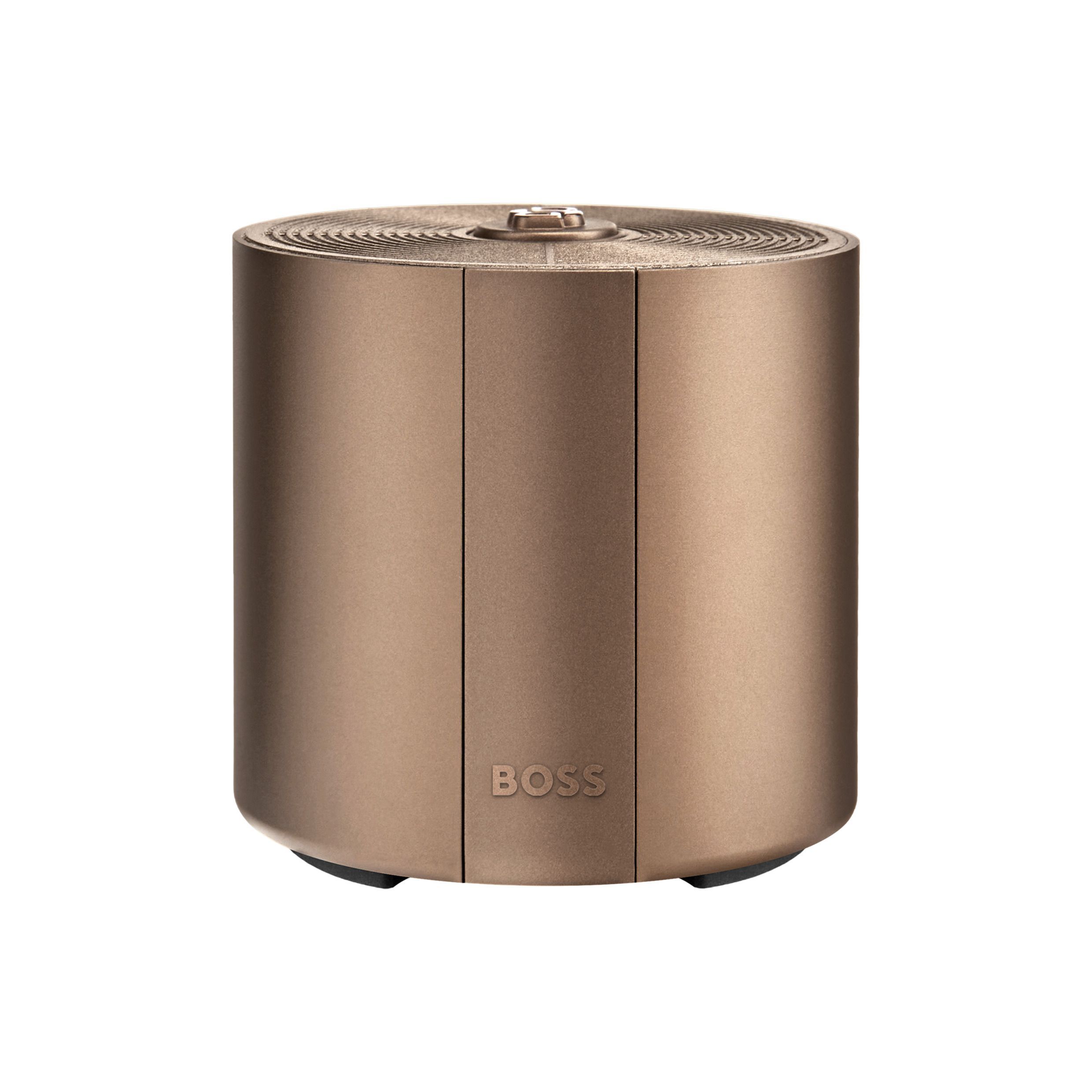 BOSS Connected Speaker Elemental Camel NEW